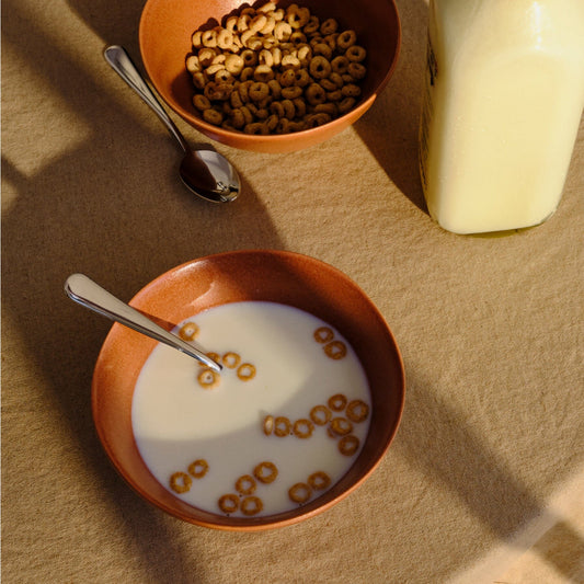 Breakfast Bowls by Fable Home, featured in a canyonclay color finish. – #canyonclay