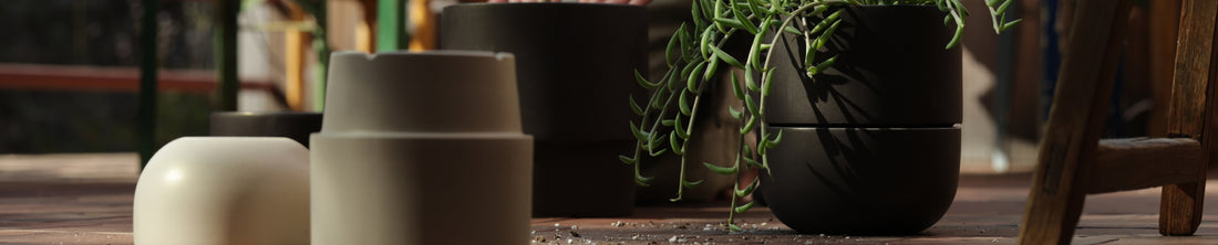 Collection of ceramic planters in white, taupe, and black with trailing succulent on outdoor table