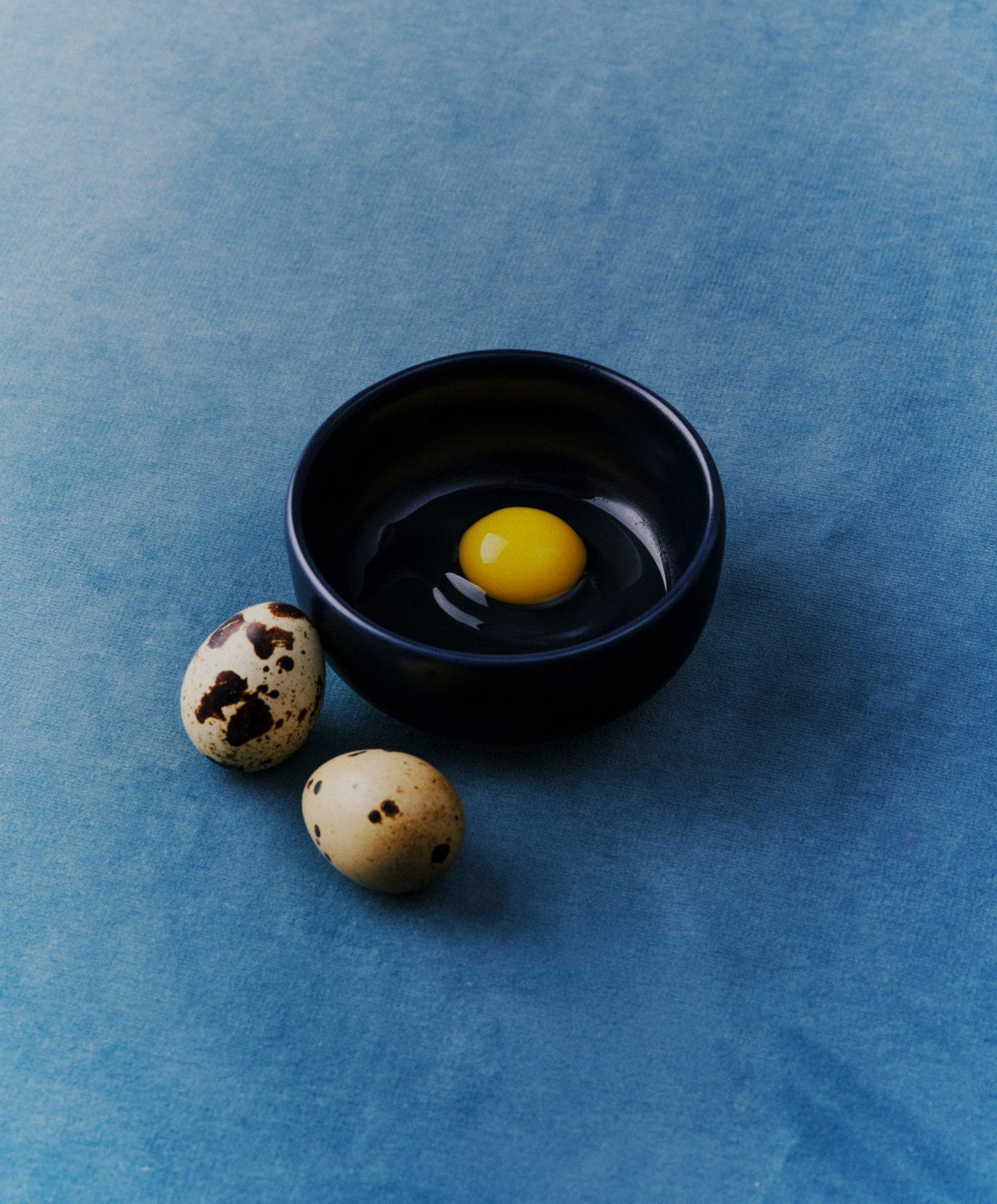 Everything Bowls by Fable Home, shown in Midnight Blue.