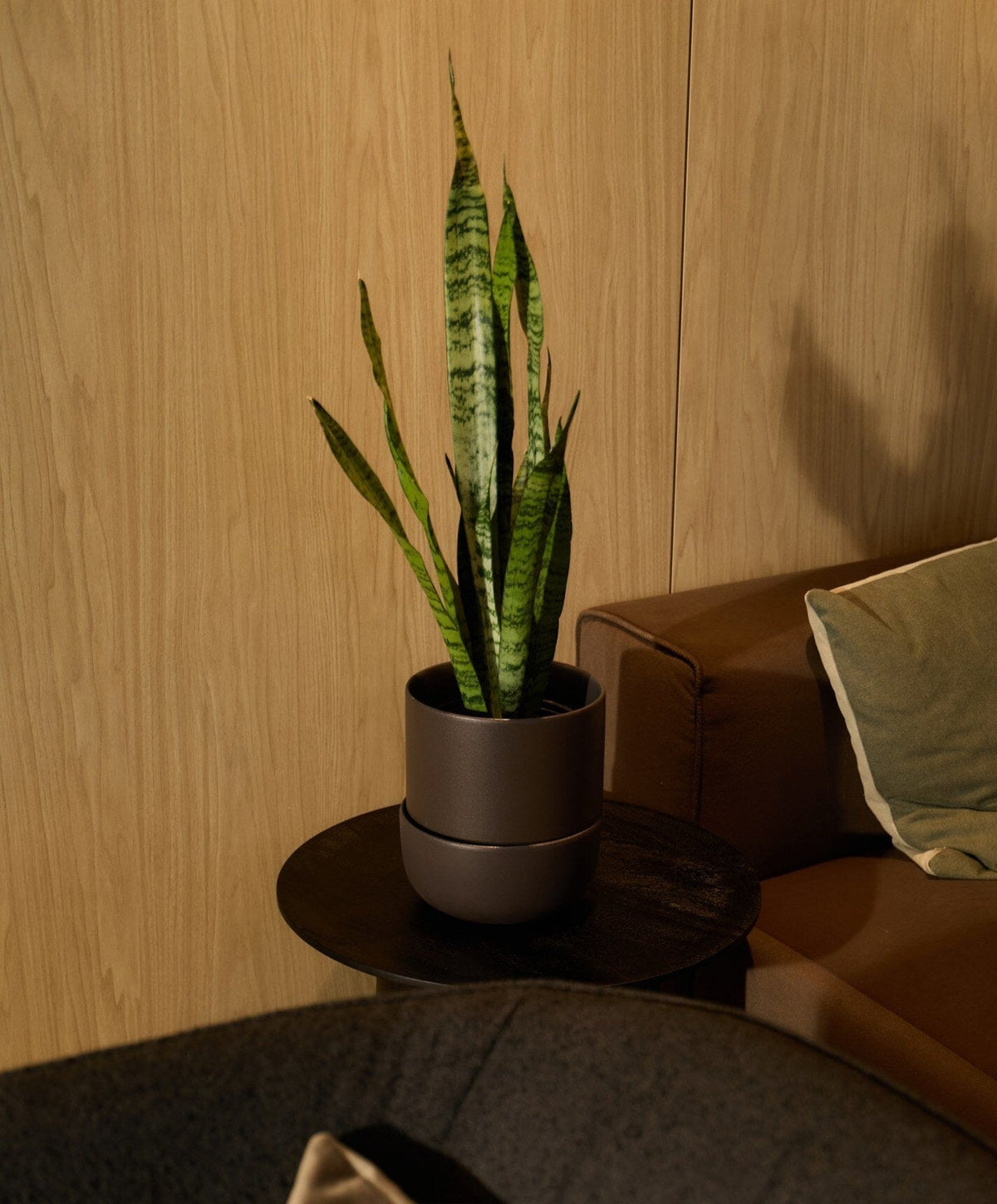 Planter Set by Fable Home, shown in Granite Gray.