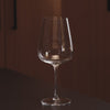 Cabernet glasses pro glassware by Fable Home, featured in a clear color finish. – #clear