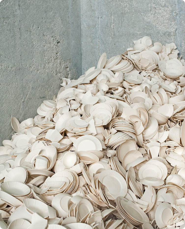 Sustainably Made